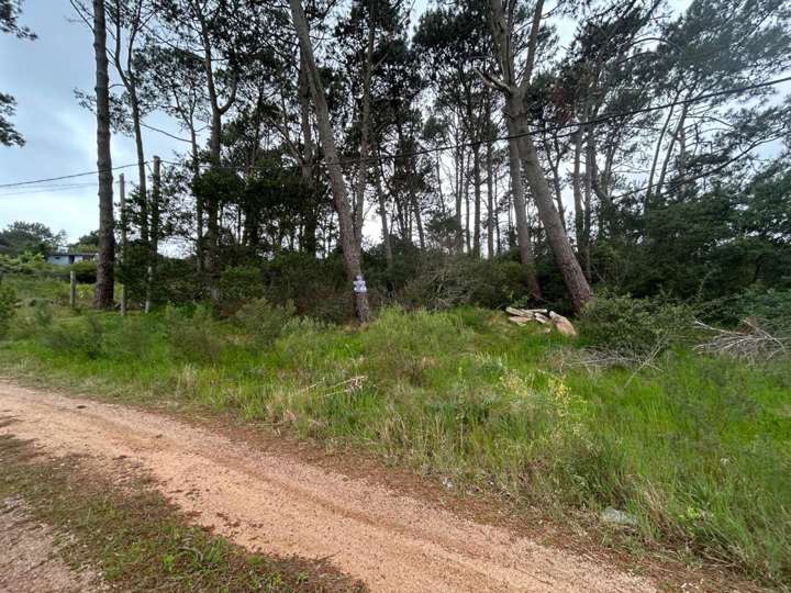 Terreno en venta en Durazno, Maldonado