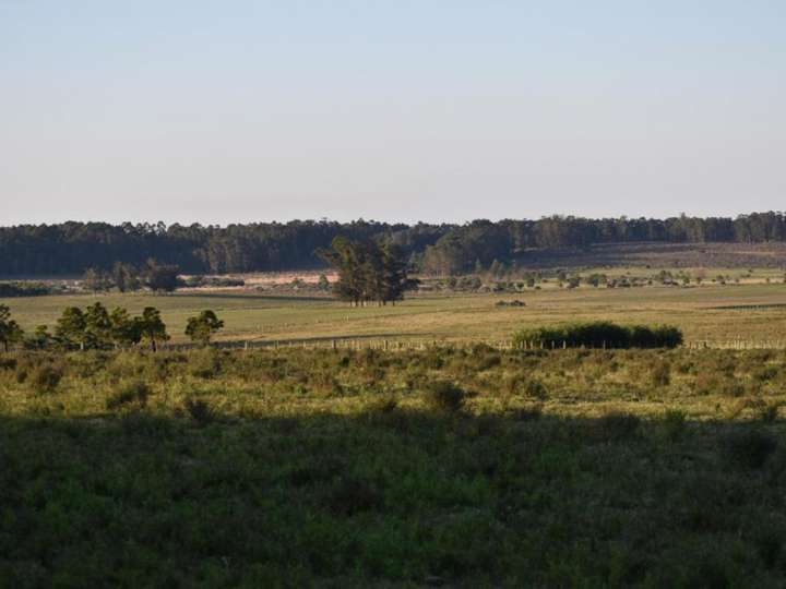 Granja en venta en La Barra
