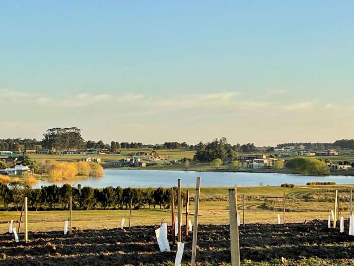 Terreno en venta en La Barra