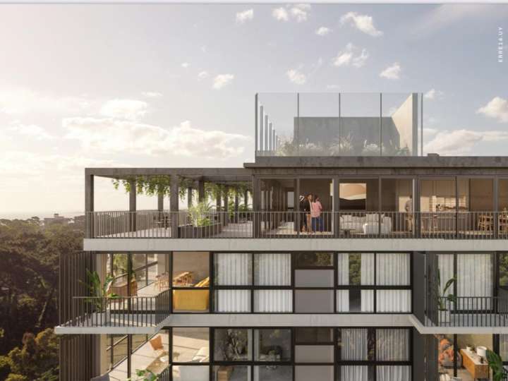 Apartamento en venta en Avenida Franklin Delano Roosevelt, Maldonado