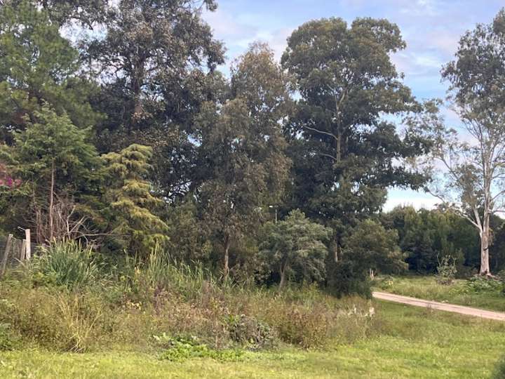 Terreno en venta en Maldonado