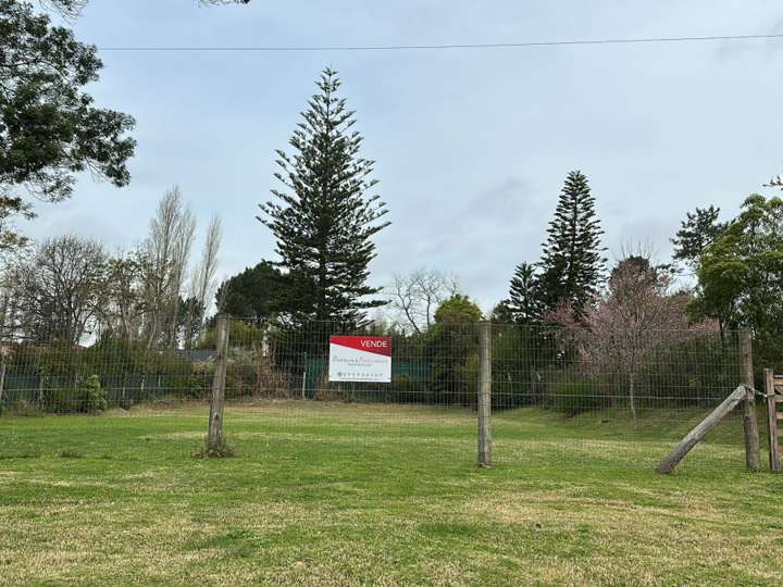 Terreno en venta en Avenida Louis Pasteur, Maldonado