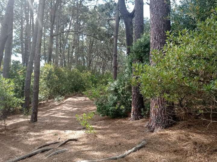 Terreno en venta en Maldonado