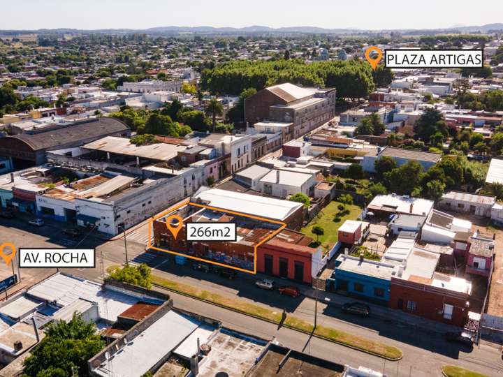 Comercial / Tienda en venta en Maldonado