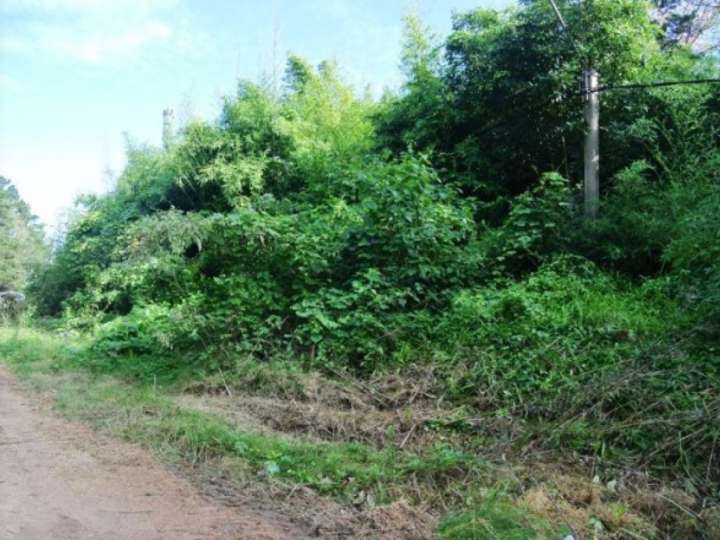 Terreno en venta en Maldonado