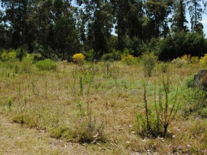 Terreno en venta en Maldonado