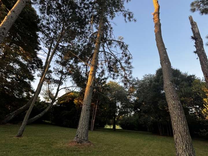 Terreno en venta en El Chorro