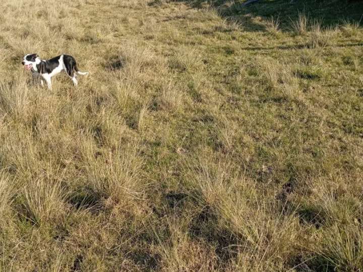 Granja en venta en Rambla General Artigas, Maldonado