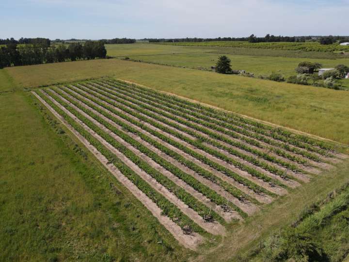 Granja en venta en 46, Canelones