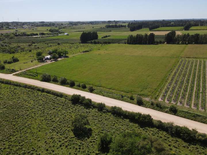 Granja en venta en 46, Canelones