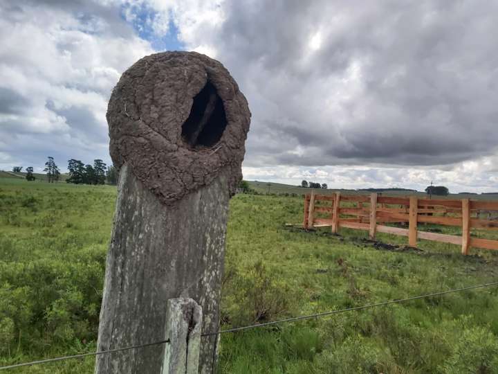 Granja en venta en Lavalleja