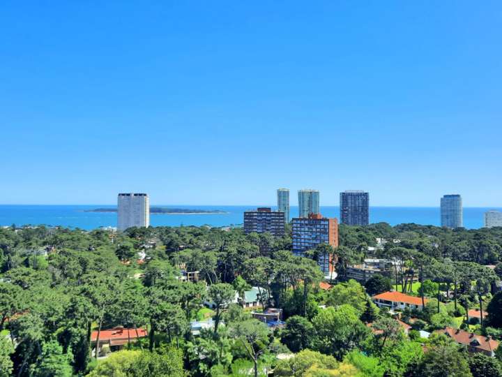 Apartamento en venta en Avenida Franklin Delano Roosevelt, Maldonado