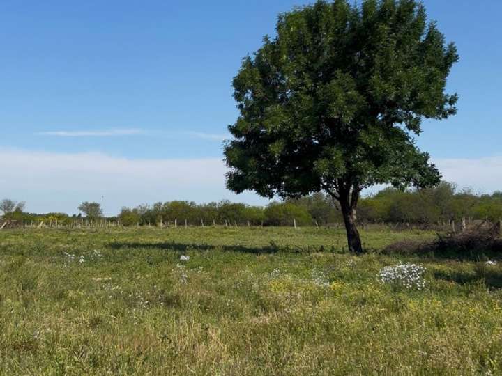 Terreno en venta en Doctor Norberto Cerruti, Colonia