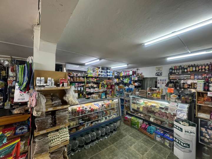 Comercial / Tienda en venta en Pilar Bastida, Montevideo