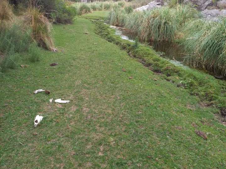 Terreno en venta en Departamento San Alberto, Córdoba