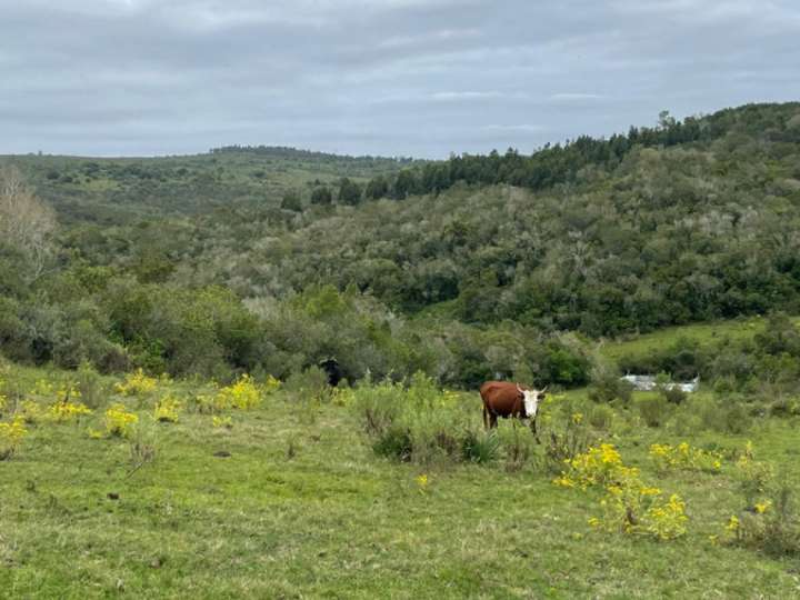 Granja en venta en Rambla General Artigas, Maldonado