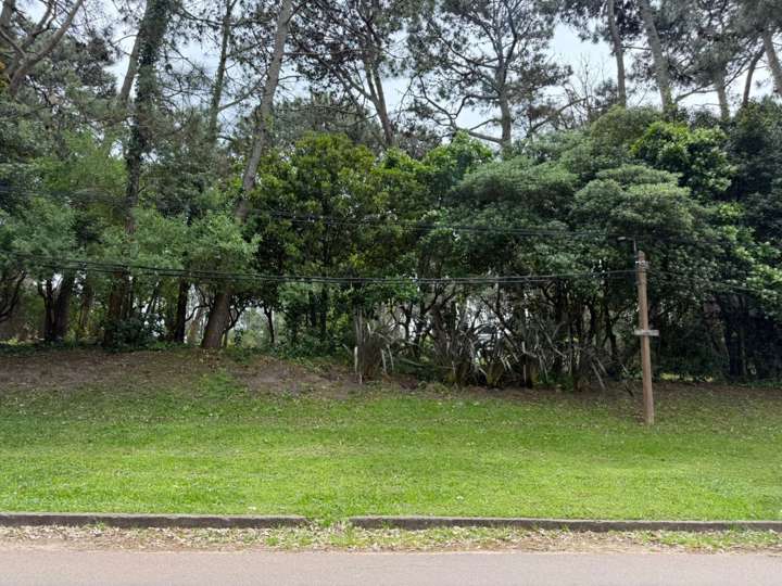 Terreno en venta en Avenida San Remo, Maldonado