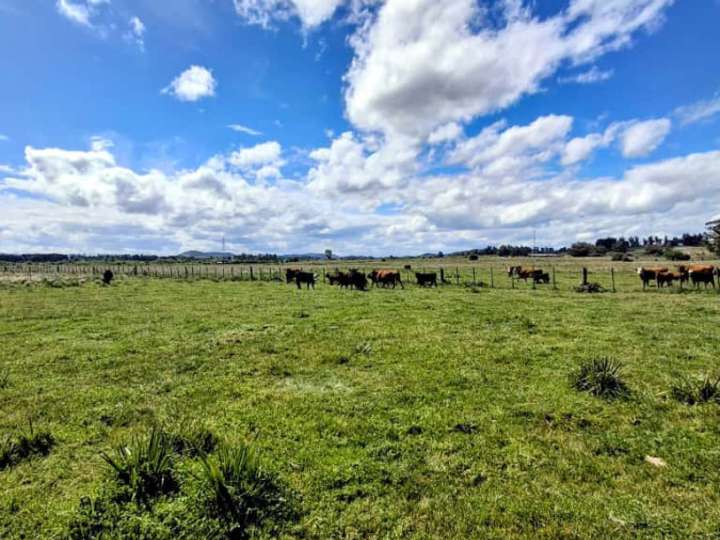 Granja en venta en Maldonado