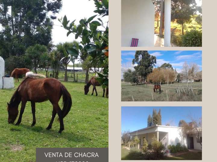 Granja en venta en Wilson Ferreira Aldunate, Canelones