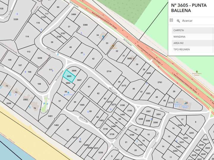 Terreno en venta en Punta Ballena