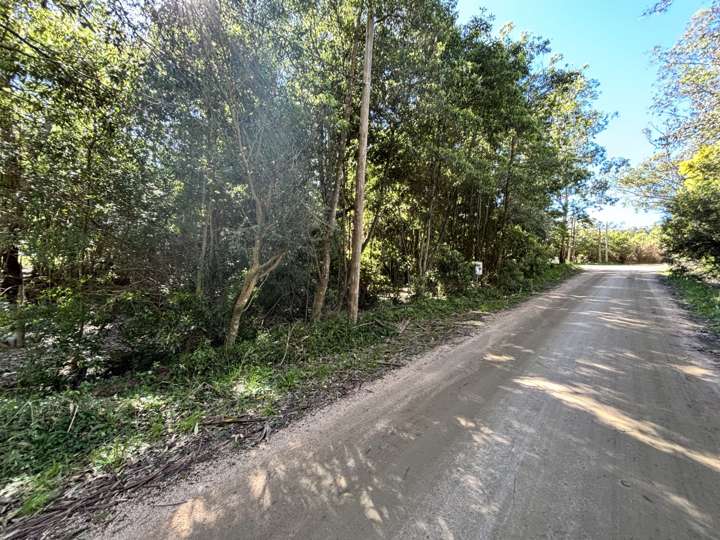 Terreno en venta en Punta Ballena