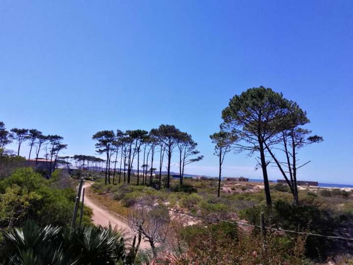 Casa en venta en Maldonado