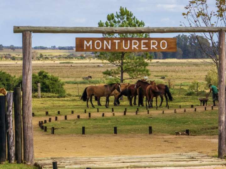 Terreno en venta en Maldonado