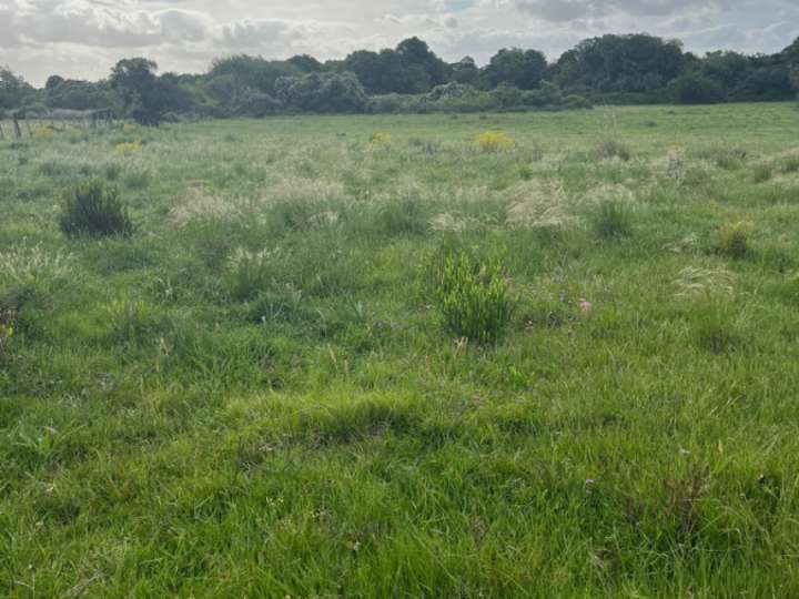 Granja en venta en Rambla General Artigas, Maldonado