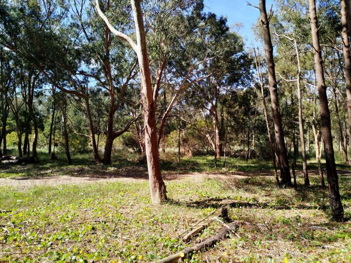 Terreno en venta en Calle 2, Rocha