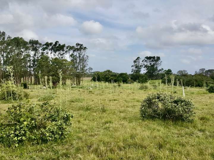 Terreno en venta en Durazno, Maldonado