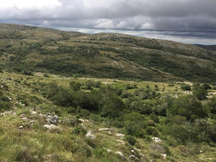 Granja en venta en Maldonado