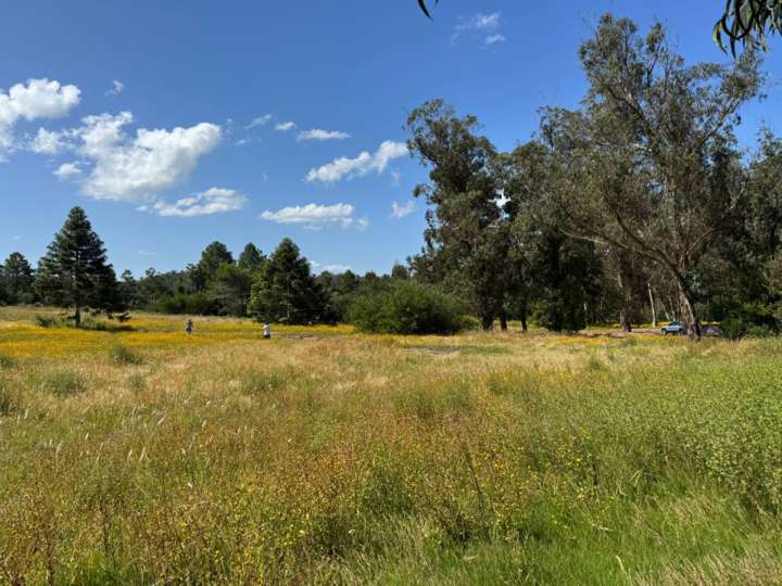 Terreno en venta en Maldonado