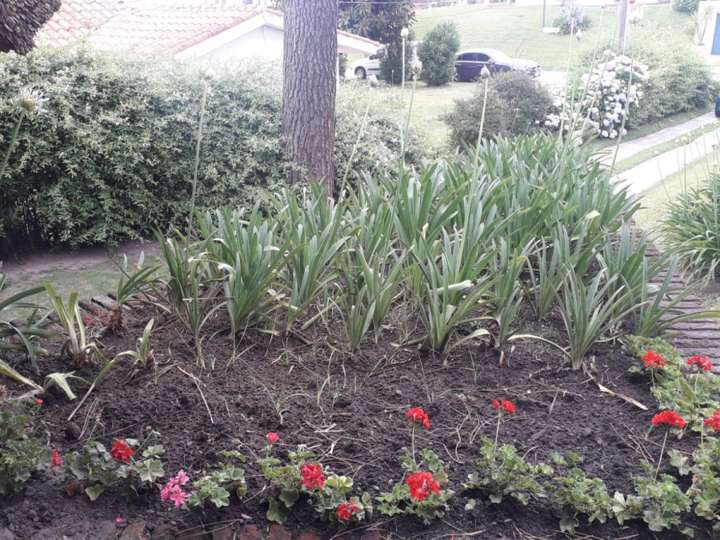 Casa en venta en Pinares, Maldonado