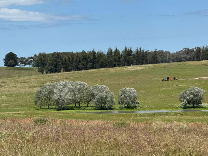 Granja en venta en Maldonado