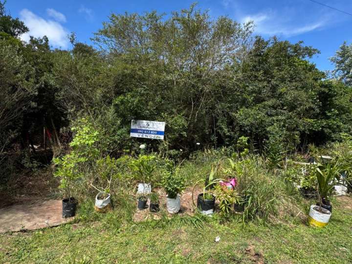 Terreno en venta en Maldonado