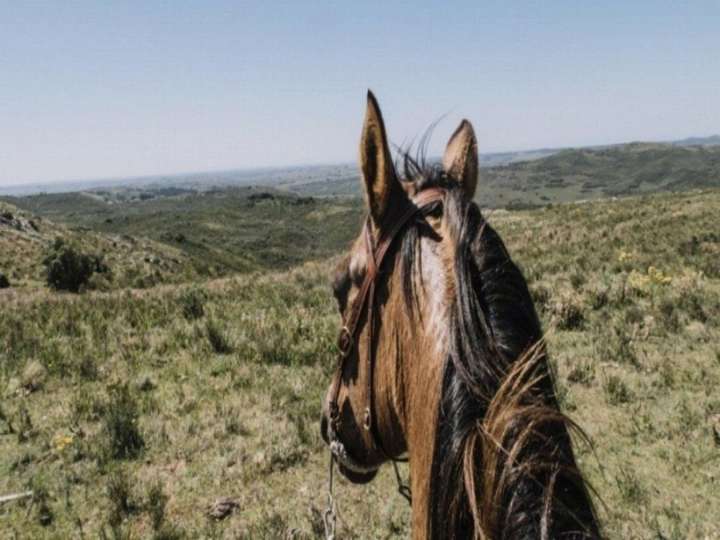 Granja en venta en Ruta 98, Treinta y Tres