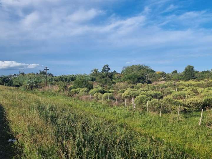 Terreno en venta en Ruta 9 Coronel Leonardo Olivera, Rocha
