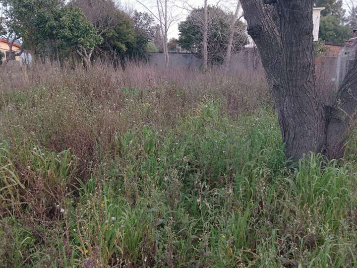 Terreno en venta en Florencio Sánchez, San Luis