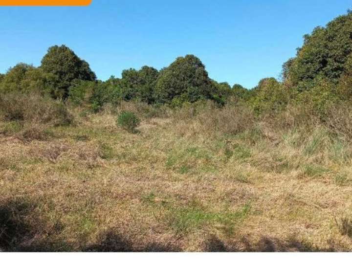 Granja en venta en Rambla General Artigas, Maldonado