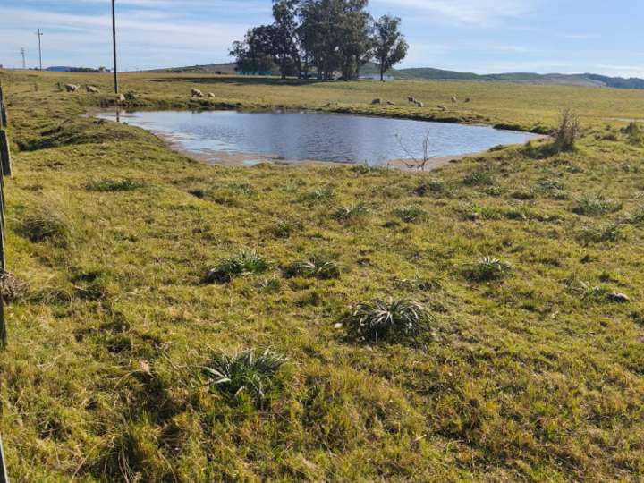Granja en venta en Ruta 9 Coronel Leonardo Olivera, Maldonado