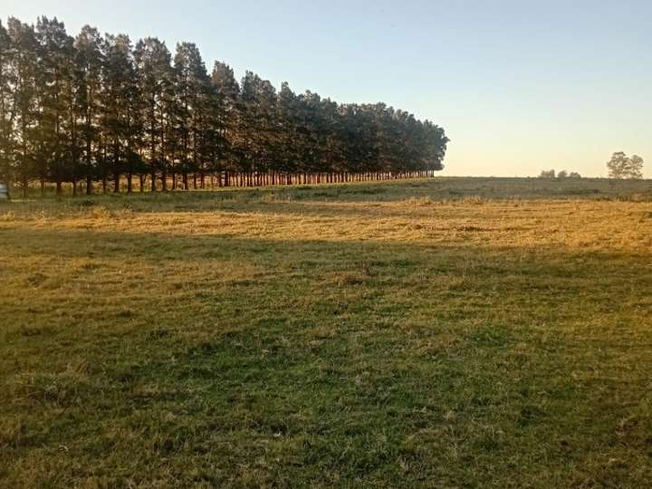 Granja en venta en Ruta 9 Coronel Leonardo Olivera, Maldonado