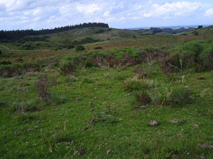 Granja en venta en Lucio Sanz y Sancho, Rocha