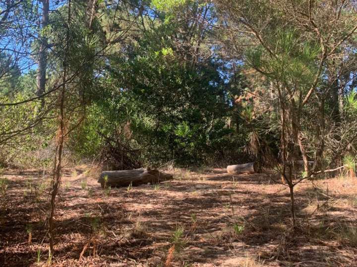 Terreno en venta en Laguna de Castillo, Punta Ballena