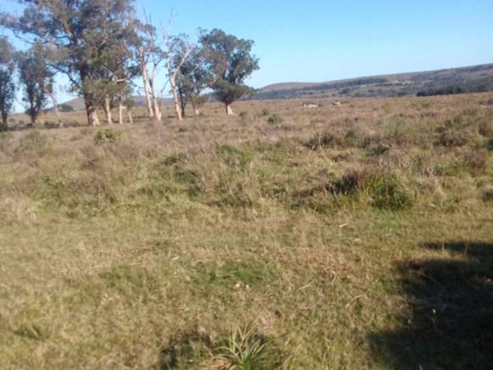 Granja en venta en Camino a Sierra de los Caracoles, Maldonado