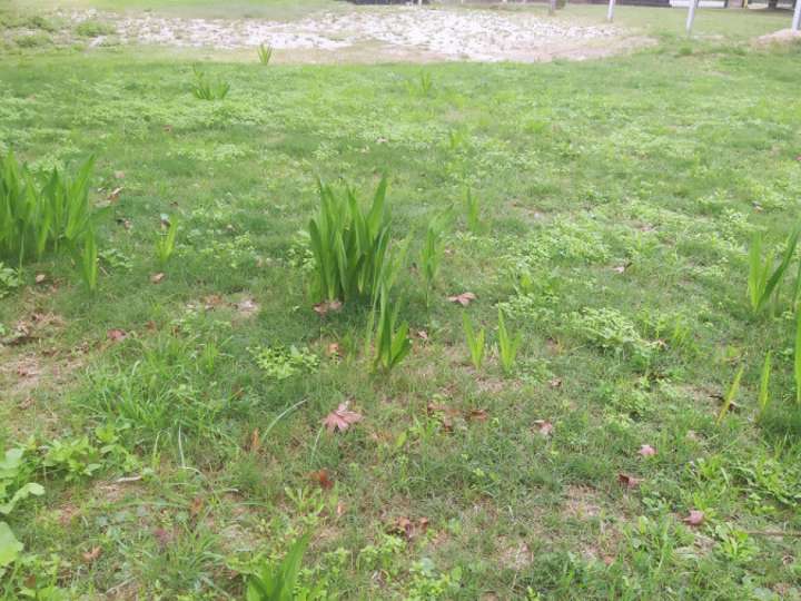 Terreno en venta en Calle 4, Atlántida