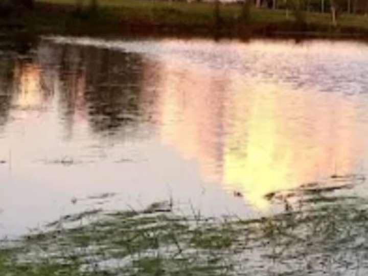 Granja en venta en Rambla General Artigas, Maldonado