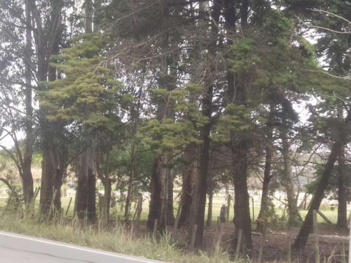 Terreno en venta en Andrés Martinez Trueba, Canelones