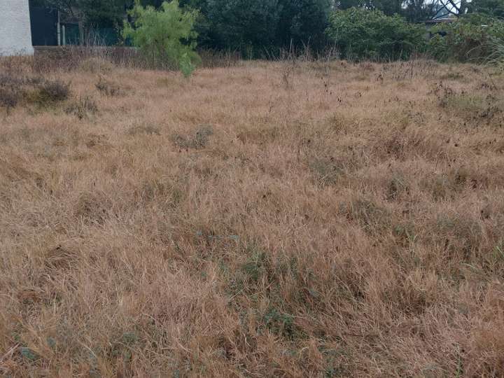 Terreno en venta en Canelones