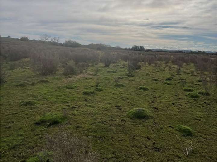 Granja en venta en Camino de los Ceibos, Maldonado