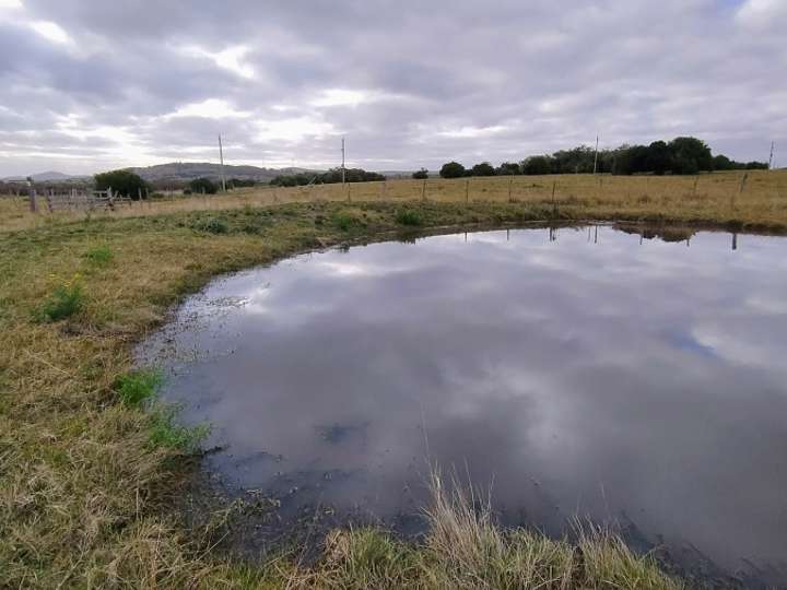 Granja en alquiler en Rambla General Artigas, Maldonado